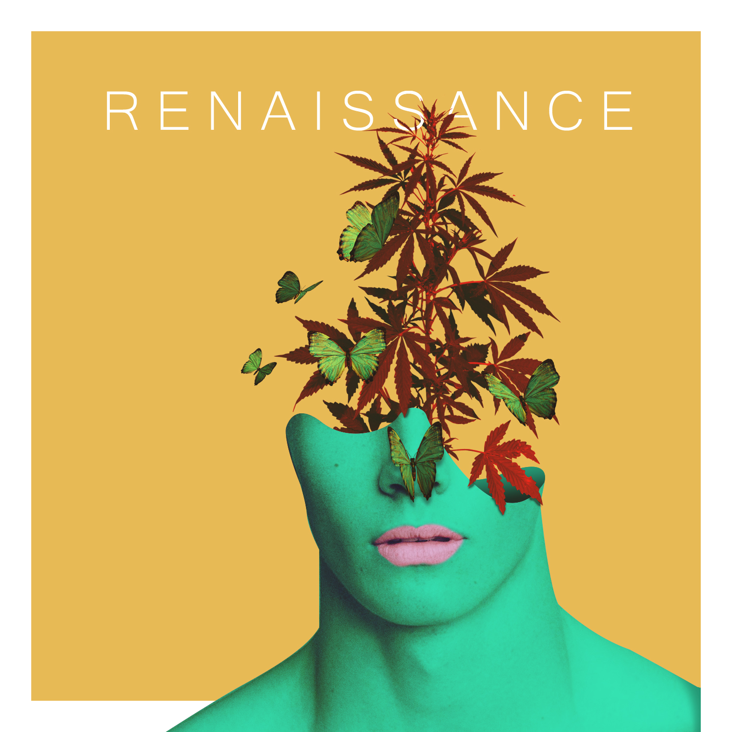 renaissance